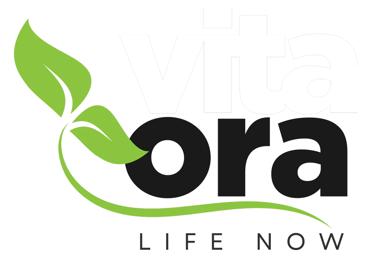 Acasă 67 logo vn h