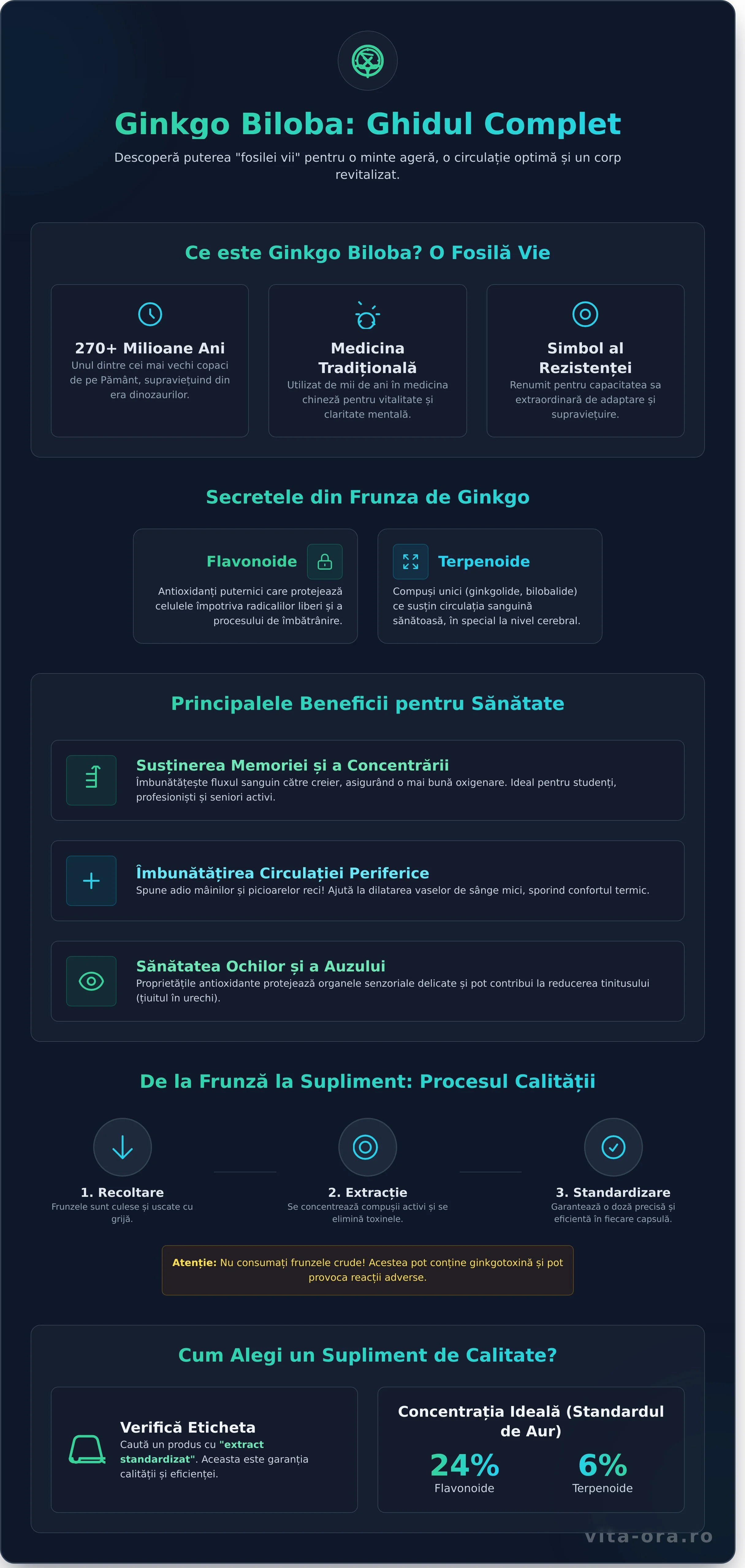 Ginkgo Biloba: Ghid Complet pentru Memorie, Circulație și Vitalitate