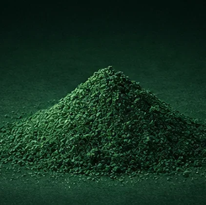 Spirulina Forte SUPERGelée - Suport pentru Energie și Stare de Bine - Tehnologie Supergelée, Vita Ora